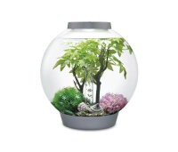 biOrb Decor Set 30L Sommer