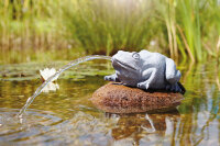 Oase Wasserspeier Frosch