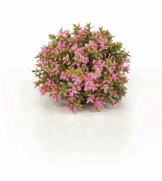 biOrb Blumenball pink