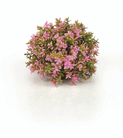 biOrb Blumenball pink