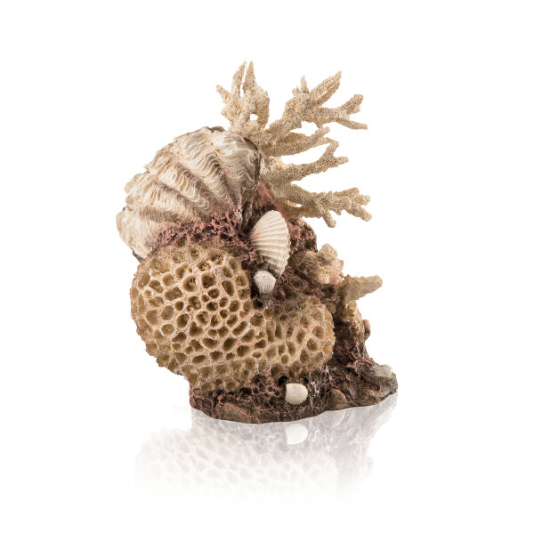 biOrb Korallen-Muschel Ornament natural