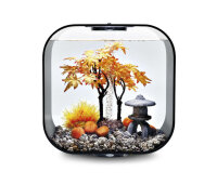 biOrb Decor Set 30L Herbst