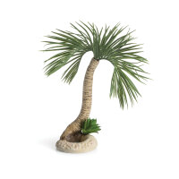 biOrb Palme Seychellen L